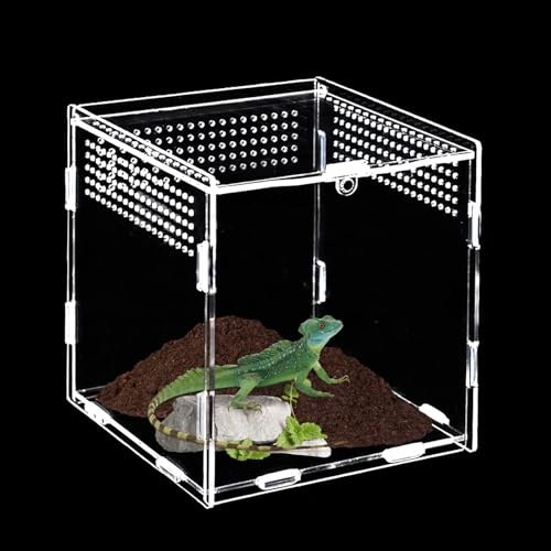 Futterbox für Reptilien 15 cm³, acryl, Springspinnen, Eidechsen, Schnecken und Käfer