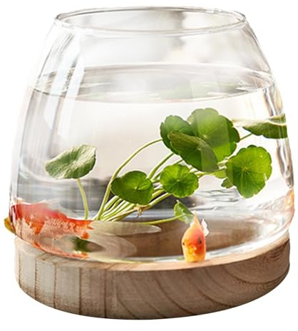 Glas Fischglas mit Holzsockel, Kugelaquarium Fischbecken Kleine für Kampffische Goldfische, Transparent Terrarium für Pflanzen, Hydroponische Pflanzenterrarium Blumenvase Fischschale Glas Zuhause Deko