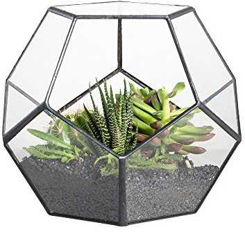 NCYP Handmade Blumentopf Transparentes fünfeckiges Dodekaeder Glas, Terrarium, auch für Sukkulenten, farblos, Schwarz (ohne Pflanzen)