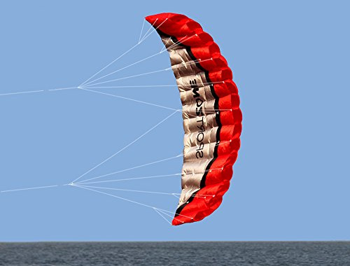 Kwasyo 2,5 m Deux Ligne Parapente Cerf-Volant Avec Manette 30 m, Cerf-Volant Pour Le Sport en Plage, Jeux de Plein air Dans Le Jardin