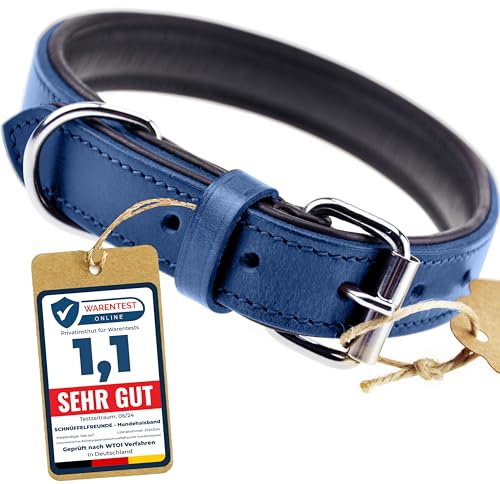 Schnüffelfreunde Halsband für Hunde aus Leder, Hundehalsband für den großen, mittleren und kleinen Hund, Lederhalsband gepolstert, robust (M - 28-36cm, Blau)
