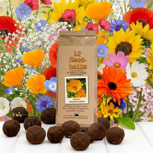 Seedball Bienenstaatsbankett 12er Pack – Samenbomben mit bienenfreundlichen Wildblumensamen | Blumensamen Made in Germany | Nachhaltig aus der Lebenshilfe-Werkstatt