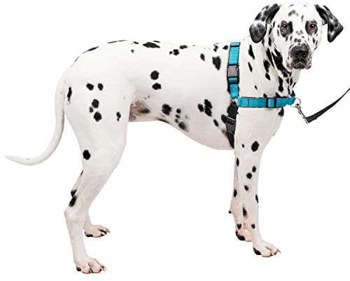 PetSafe Easy Walk Deluxe-Geschirr, reißfestes Gehgeschirr für Hunde, gepolstertes Design, inkl. 1,8 m Leine, Large-Ozeanblau/Schwarz