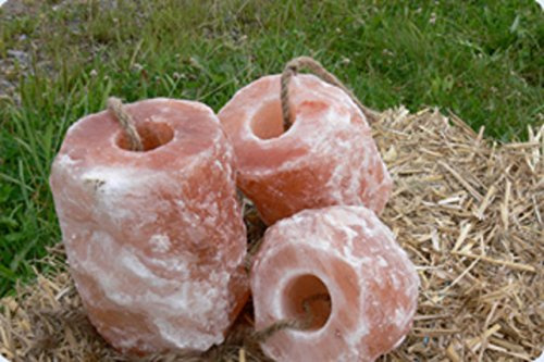 3x HIMALAYA Leckstein Salzleckstein Mineralleckstein -Premiumqualität von Biova