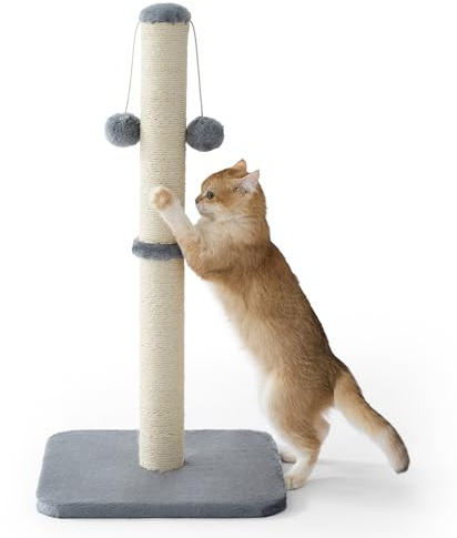 Lesure Kratzsäule Mittelgroßer für Katzen Indoor - 36x36x74cm Kratzstamm mit Hängendem Spielball, Kleiner Kratzbaum mit Sisalseil, Stabile Basis Kratzsäule, Grau