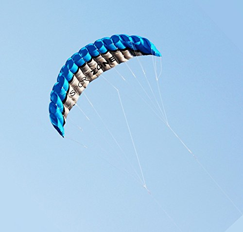 Kwasyo 2,5 m Deux Ligne Parapente Cerf-Volant Avec Manette 30 m, Cerf-Volant Pour Le Sport en Plage, Jeux de Plein air Dans Le Jardin