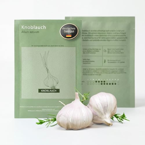 HAVENHAUS Knoblauch Samen zur Anzucht | Allium Sativum Knoblauchsamen 30 Stück für Anzucht drinnen & draussen ideal ab März | zertifziertes Saatgut mit detaillierter Anleitung auf Rückseite