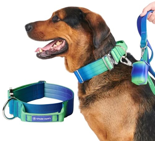 Spark Paws Taktisches Hundehalsband – Robuste, Premium-Qualität, Dick und Langlebig für Große und Mittelgroße Hunde - Lime Wave - M, 5cm