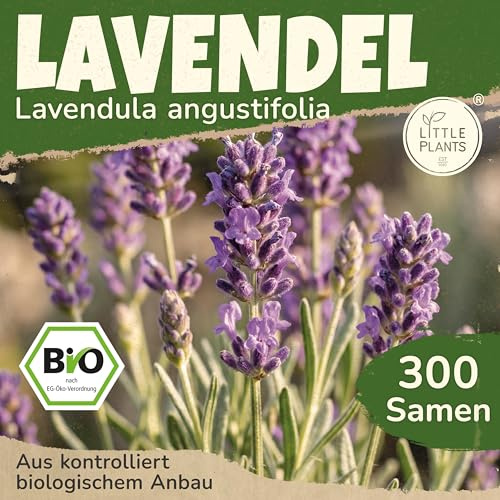 Little Plants BIO Lavendel Samen 300 Lavendelsamen Blumensamen für Blumenkübel Samenfest Blumen Samen für Balkon und Garten