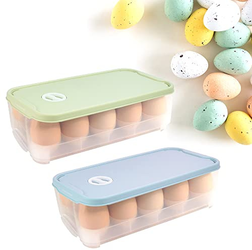 QINERSAW 2er Set Eierbox 10 Eier Eierbehälter mit Deckel Eieraufbewahrungsboxen für Kühlschrank Eier Transportbox Kunststoff