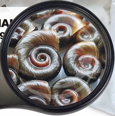 Lebendfutter Verschiedene Sorten zur Auswahl 45ml oder 90 ml (Posthornschnecken 90 ml) SAHAWA Fischfutter