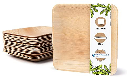 BIOZOYG Einwegteller 100 Stück 25x25 cm Palmblatt-Teller - Einweggeschirr kompostierbar - hochwertige Alternative für Bambus Teller und Pappteller - Partygeschirr