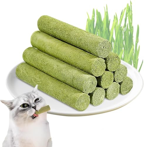 Simsky Katzenminze Sticks für Zahnpflege, 6 Stück, Kausticks für Katzen Zahnstein & Mundgeruch intelligenzspielzeug (Grün)