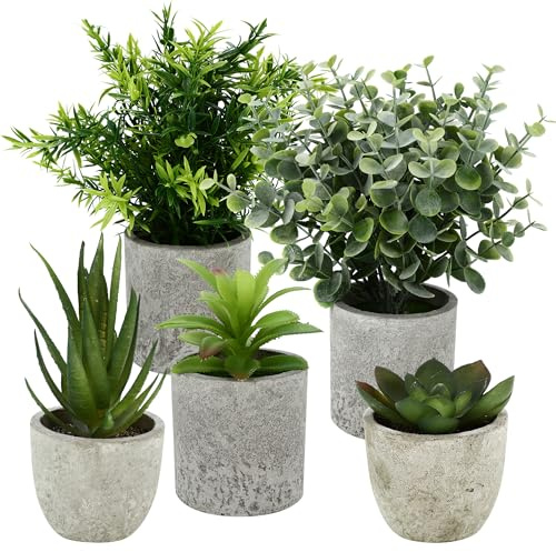 5 Stück Kunstpflanze, Mini Künstliche Pflanzen Schlangenzunge, Agave Sukkulente, Eagle Claw Aloe, Künstliche Pflanzen für Schlafzimmer Büro Dekoration