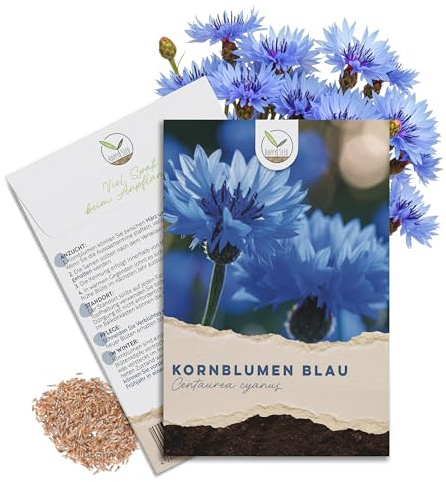 Kornblumen Samen (Centaurea cyanus) - Wunderschön leuchtende Blumen mit langer Blütezeit für eine bunte Blumenwiese (Blau, 1000 Korn, 80 cm)