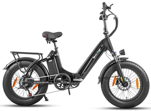 E Bike Klapprad 20 Zoll Elektrofahrräder, E-Faltrad Damen und Herren, 48V 18A*2 Doppelbatterien|250W Heckmotor 80N.m & 25km/h, Hydraulische Bremse, Tiefeinsteiger E-City Bike/Pedelec für Erwachsene