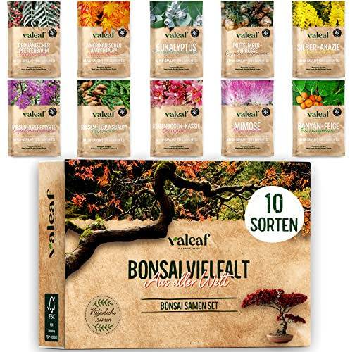 10 Bonsai Samen aus 5 Kontinenten I Exotische Baum Samen für deinen einzigartigen Bonsai-Baum I Starter Kit für Anfänger und Pflanzen Verrückte I Unser Bonsai Set als besondere Geschenkidee