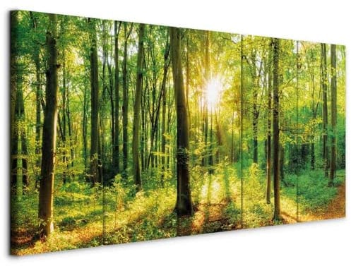 B&D XXL - Akustikbild Waldlandschaft Natur Baum, 225x90 cm, 5-teilig, Büro | Verbessert Raumakustik, reduziert Hall, ideal fürs Büro oder Wohnzimmer, hochwertige Verarbeitung, schnelle Montage, stilvoll