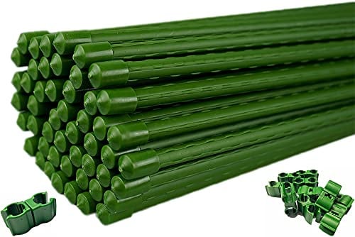 Novatool Set Pflanzstäbe 11x1500 und Multifunktionsclip I Gewächshauszubehör Planzstabverbinder I Tomatenstab