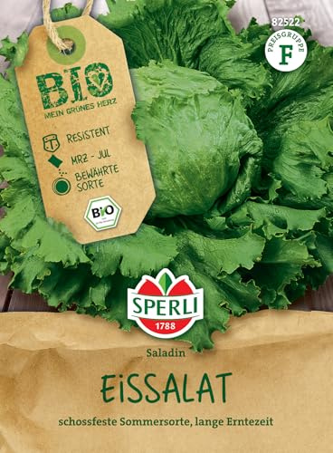 Sperli BIO Eissalatsamen 82522 - Das perfekte Saatgut für einen Bio Eissalat mit langer Erntezeit. Der Bio-Eissalat Saladin bietet die Gemüse in bester Qualität. -Salatsamen