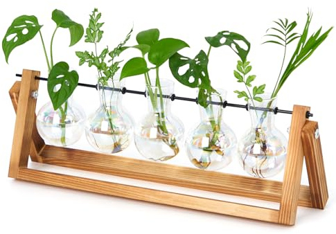 XXXFLOWER Propagation Station Vintage 5 Glaskugeln,Ableger Pflanzen Glas mit Holzständer,PlantsTerrarium,Glas Reagenzgläser Blumen,Hydroponik Blumenvase,Kleine Vasen Tischdeko,Zimmerpflanzen Zubehör