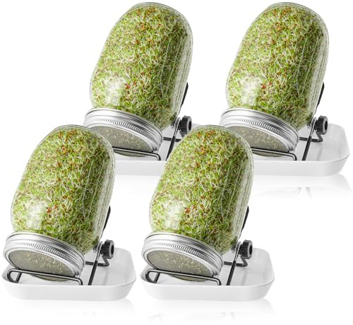 Sprossenglas Set|2er-Set 1000ml Keimglas mit Deckeln und Haltern und Schalen|Sprossengläser für die Sprossenzucht und Keimung von Samen,Sprouting Glass (4er-Set)