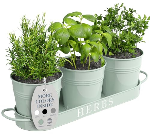 Barnyard Designs Kräutertopf-Pflanzgefäß-Set mit Tablett für den Innen-, Garten- oder Außenbereich, weiches mintgrünes Metall, (3er-Set, 11 x 10 cm Pflanzgefäße auf 32 x 10 cm Tablett)