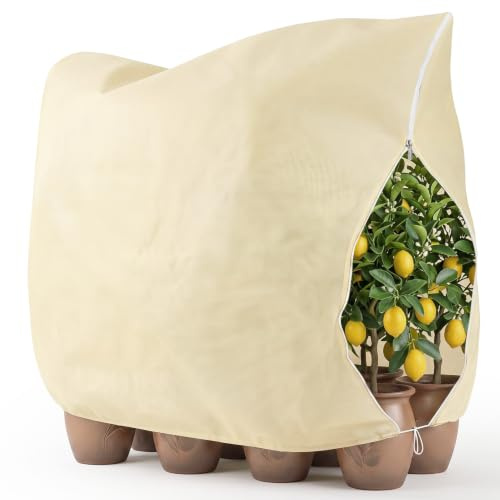 Kiaitre Pflanzenschutz Winter 200x240cm 80g/m² Vlies | Frostschutz mit Reißverschluss & Kordelzug. Reißfest Vlies für Kübelpflanzen & Topfpflanzen. 1 Stück.