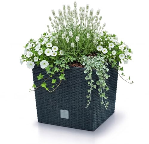 Prosperplast Blumentopf in Rattan-Optik Pflanzkübel mit Einsatz | anthrazit | wetterfest & UV-beständig | aus Kunststoff | für Innen- und Außenbereich | drts265l-s433 (26,2x26,2x26,6)