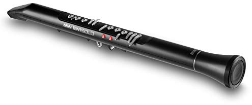 Akai Professional EWI Solo - Elektronisches Blasinstrument mit Eingebautem Lautsprecher, Wiederaufladbarer Batterie, 200 Sounds, USB-MIDI Verbindung
