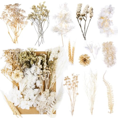 Natürliche Getrocknete Blumen - Trockenblumen zum Basteln, Mini, für DIY Kunst, Deko, Epoxidharz, Scrapbook, Karten - Weiß