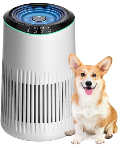 MERONTE Luftreiniger für Schlafzimmer, Zuhause, allergischer Luftreiniger für Schlafzimmer, Büro, Raucherzimmer, HEPA-Filter, Luftreiniger, 1 Pack+3 Modi