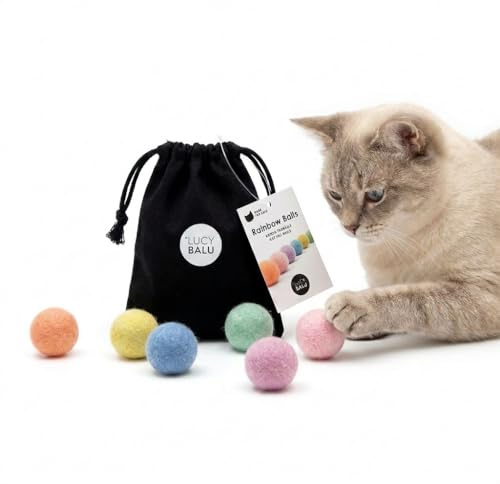LucyBalu® Rainbow Balls Filzbälle für Katzen I Katzenspielzeug Ball aus 100% Schafwolle I 6 handgefilzte Spielbälle im Baumwollbeutel I artgerechtes Naturspielzeug aus Nepal