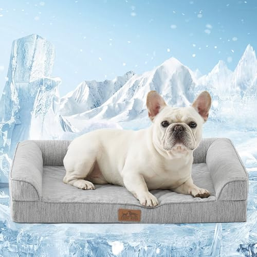 COZY KISS Kühlende Orthopädisches Hundebett für Mittelgroße Hunde 76x51x15cm - Ergonomische Hundesofa mit abnehmbarem und waschbarem Bezug & Eierkisten-Schaumstoff, Wasserdichtes, Silbergrau