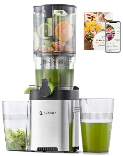 AMZCHEF Entsafter Slow Juicer 136mm, Saftpresse für Gemüse & Obst, Silber | Cold Press Juicer mit 2 Filtern, Leise & Leicht zu Reinigen, Elektrisch