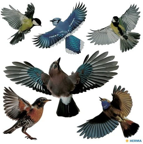 HERMA Warnvögel Vogel Aufkleber Set für Fensterscheiben groß, 6 Stück, 30 x 30 cm, selbstklebend, ablösbar und wiederverwendbar, Vogelschutz für Fenster aus wetterfester Hart-Folie, bunt