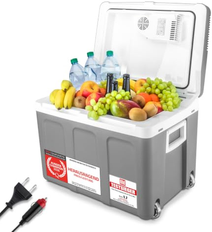 TZS First Austria - Kühlbox 45L elektrisch 12V 230V Anschluss für Auto & Steckdose - Thermoelektrische Cool Box kühlt & wärmt - Mini Kühlschrank mit Rollen - Für Camping, Festivals, Reisen - Grau