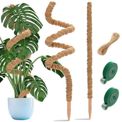 2 Stück Monstera Rankhilfe 122 cm & 63 cm Biegsame Pflanzenstütze aus Kokosfaser – Moosstab Pflanzstab Support für Monstera, Efeu & Zimmerpflanzen mit Zubehör