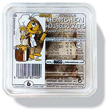 Heimchen Gross in der Dose Verpackt - Portion ca. 35-40 Stück - Reptilienfutter