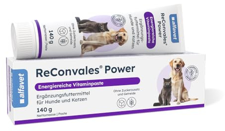 Alfavet ReConvales Power Paste - Ergänzungsfutter für Hund & Katze, 140 g | Nahrhafte Päppelpaste bei Untergewicht und Rekonvaleszenz, hoher Energiegehalt mit Taurin und Vitaminen, ohne Zuckerzusatz