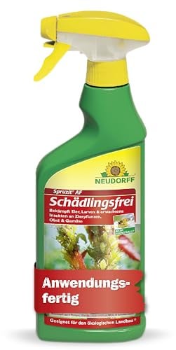 Neudorff Spruzit AF Schädlingsfrei – Bekämpft Schädlinge wie Buchsbaumzünsler, Blattläuse, Thripse an Zierpflanzen, Gemüse, Obst und Kräutern, 500 ml