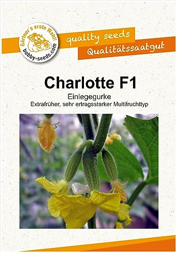 Gurkensamen Charlotte F1 Portion
