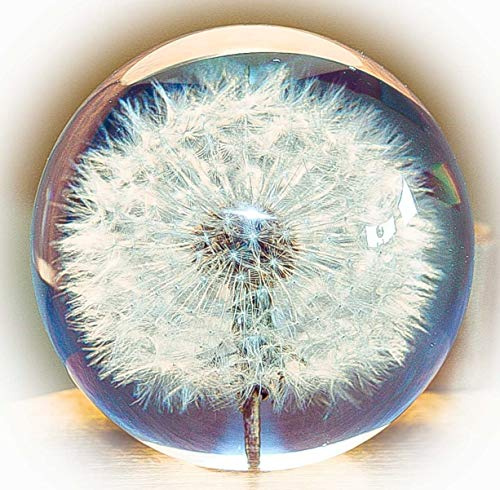 Briefbeschwerer Pusteblume