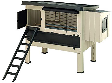 Ferplast Pollaio esterno HAPPY FARM 120 Casetta per galline ovaiole, Resina termoplastica e legno, per circa 6 galline, Nido, Tendina protettiva e Accessori inclusi, 140 x 139 x h 110 cm, Beige