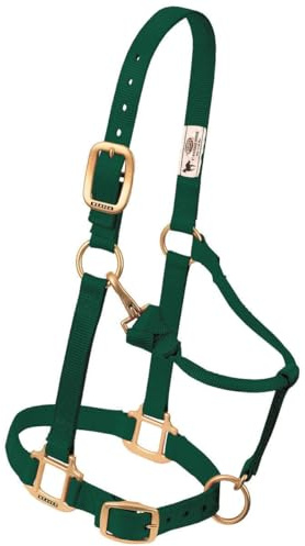 Weaver Leather Original Verstellbares Reithalfter aus Nylon, großes Pferd, Grün (Hunter Green)