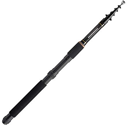 Cormoran Profiline Telerute Travel 3,00m 30-70g Angelrute