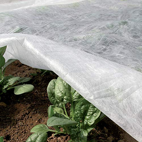 TENAX Ortoclima Plus Kälteschutzvlies 2,40x5 m Weiß, Winterfrostschutzvlies für Pflanzen und Kulturen, aus Vliesstoff 30 g/m², schützt Pflanzen, Blumen und Gemüse vor Kälte, Frost und Wind