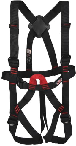 ALPIDEX Kinder Klettergurt Komplettgurt Typ B EN 12277 Klettersteig | Kombigurt, Kinderklettergurt, Auffanggurt, UIAA, bis 40 kg, Hochseilgarten, Seilpark, Sportklettern, Indoor, Carbonstahl