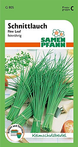 Samen Pfann G805 Schnittlauch Fine Leaf (Schnittlauchsamen)