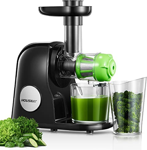 HOUSNAT Entsafter Slow Juicer mit leisem Motor Umkehrfunktion und 2 Filtern
